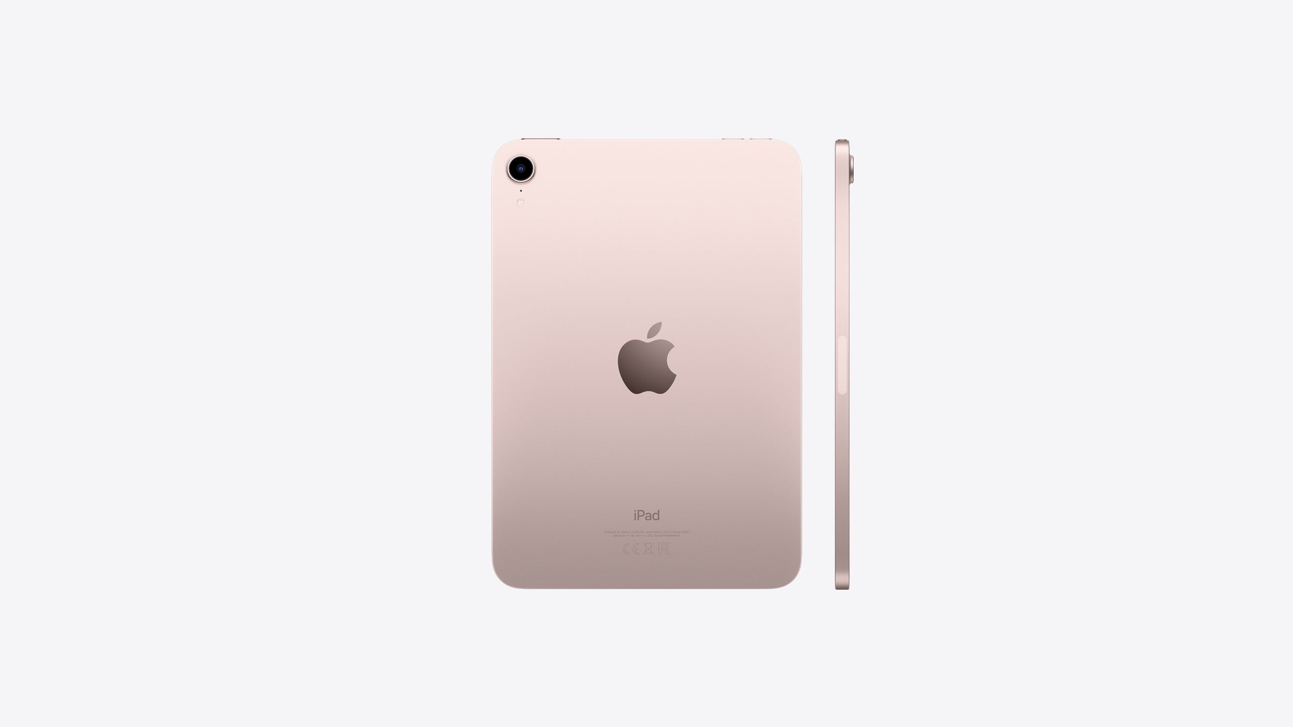 iPad mini Wi-Fi + Cellular 64 GB -PINK-